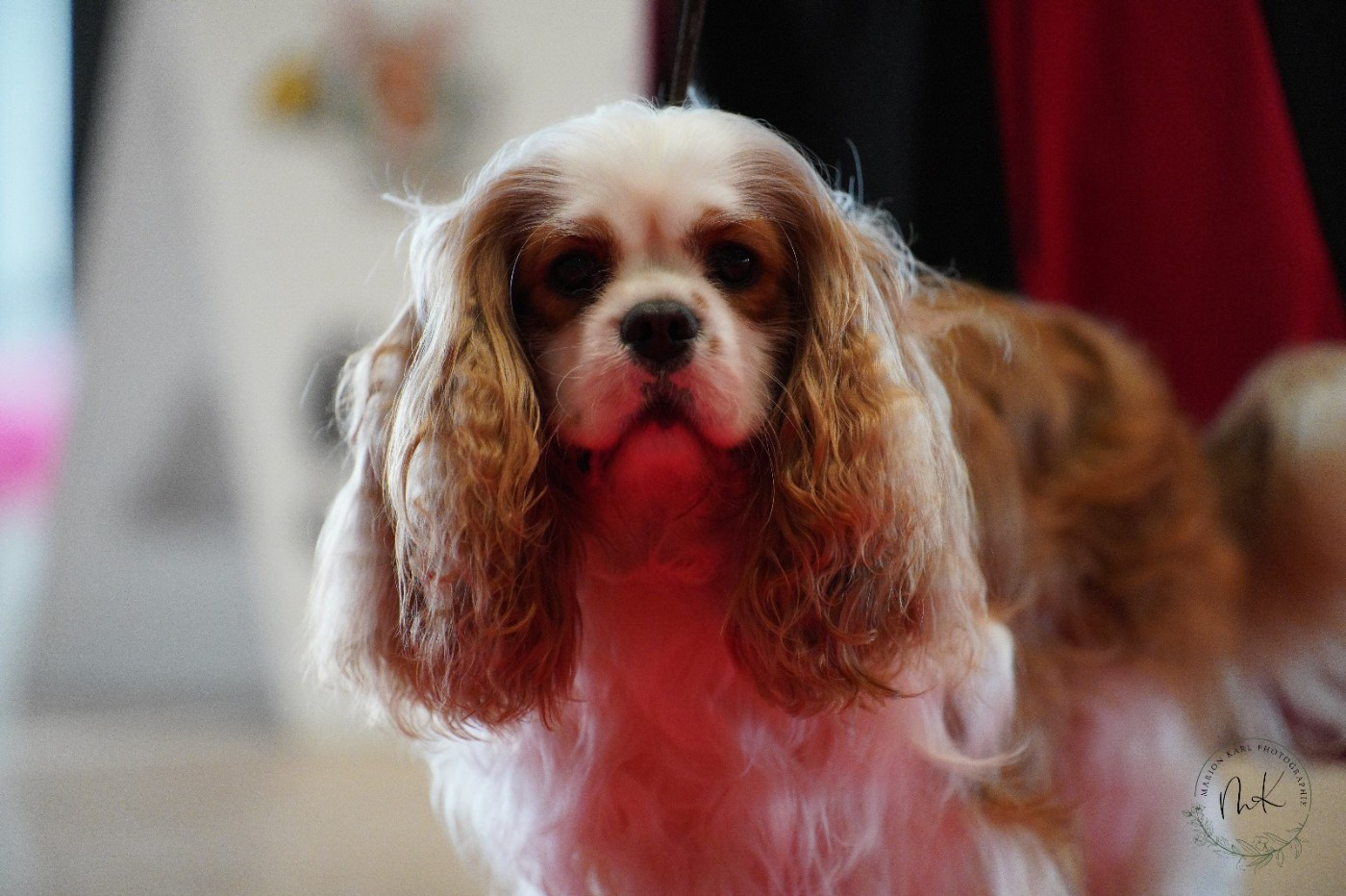 sunny dit stangala De La Baie De Luya